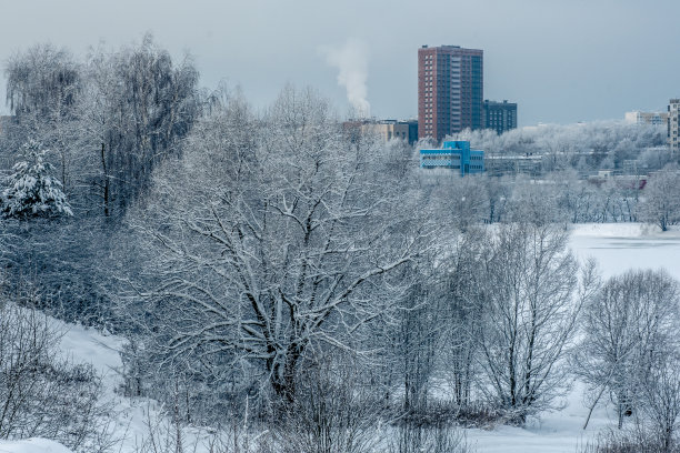 莫斯科下大雪。除夕夜图片下载