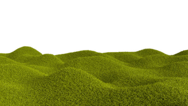 绿色的草地孤立在白色的背景上图片下载