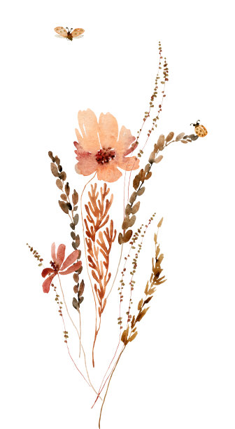 水彩花卉插图图片下载