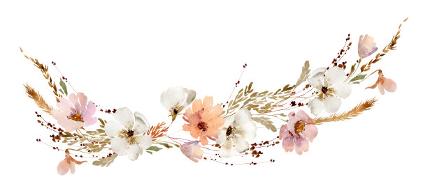 水彩花卉插图图片下载