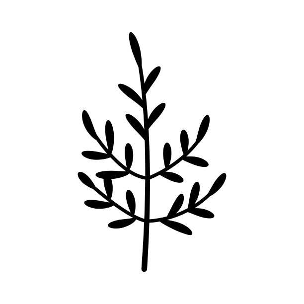 手绘素描叶孤立的白色背景。简单的涂鸦风格。图片下载