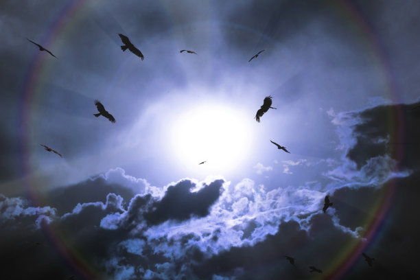 一群风筝在太阳圆盘上盘旋图片下载