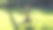 一位穿着运动服的黑发成年女子在酒店的绿地上进行上午的课程图片下载