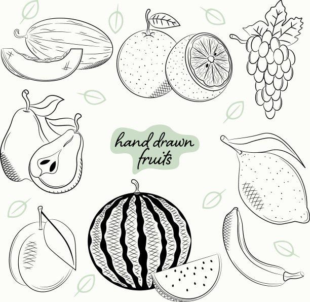 一套健康水果手绘素描图片下载