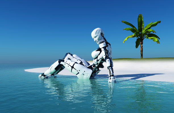 在海滩上。图片下载