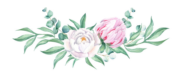 水彩花环牡丹花束孤立在白色背景。白色和粉红色的牡丹，尤加利。手绘植物插图。可用于婚礼、生日、贺卡的设计。图片下载