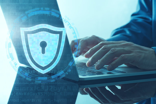 个人资料保障系统。盾牌图标和笔记本电脑。图片下载