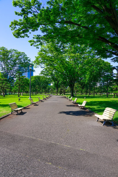 Kokyo Gaien国家花园的黑松和长椅图片下载