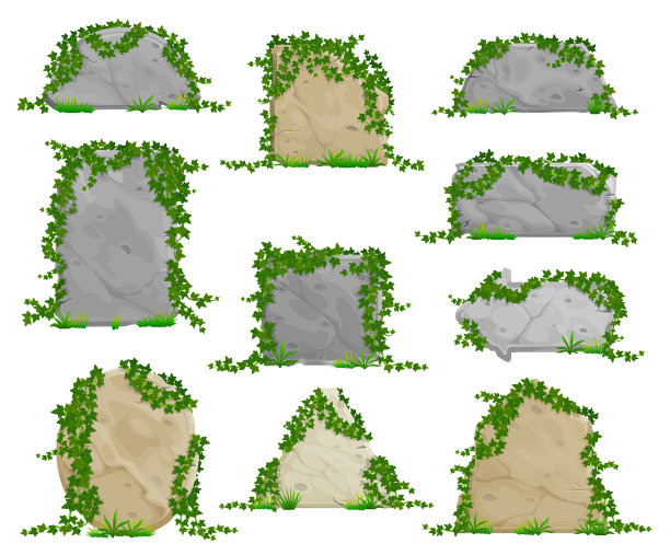 用常春藤叶子做成的卡通石板图片下载