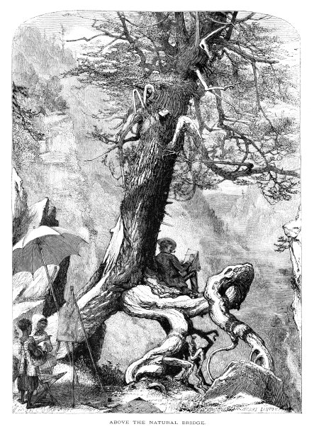 艺术家画的自然桥，弗吉尼亚，美国，地理图片下载