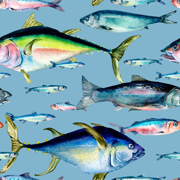 各种野生海鱼无缝图案水彩插图孤立在蓝色上。图片下载