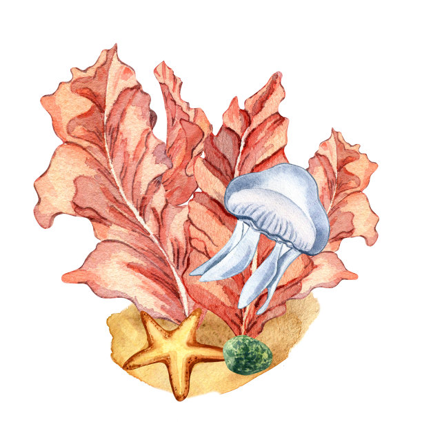 构成粉红色的海洋植物水彩画孤立在白色上。图片下载