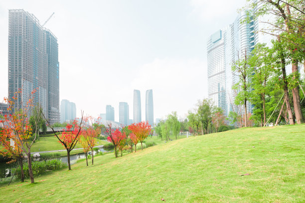 阳光成都金融城图片下载