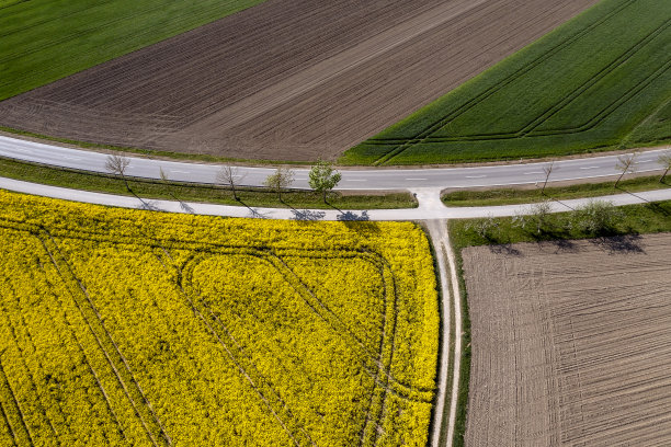 从正上方看春天的道路图片下载