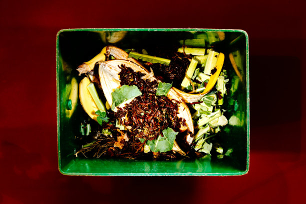 茶叶蔬菜堆肥图片下载