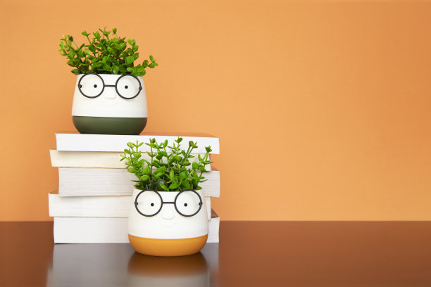 带眼镜的书和植物图片下载