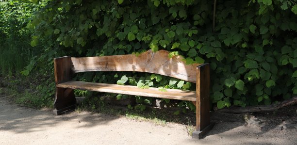 花园的长椅上图片下载