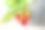 近距离草莓生长在温室植物。干净农场里鲜红甜美的水果图片下载