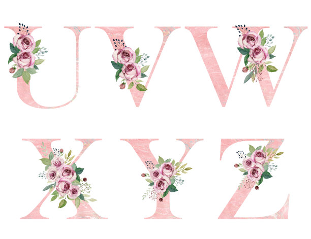 水彩画花卉字母。图片下载