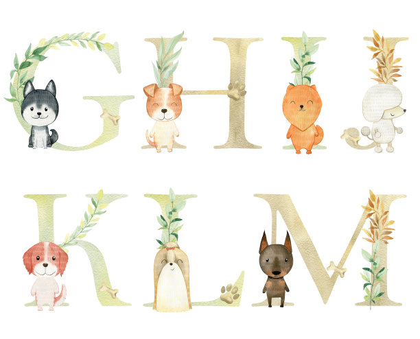 水彩画狗的字母。图片下载