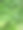 绿色植物的照片，看起来迷人图片下载