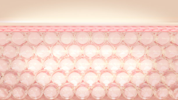 皮肤微结构的3D渲染层图片下载