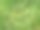 绿草图片下载