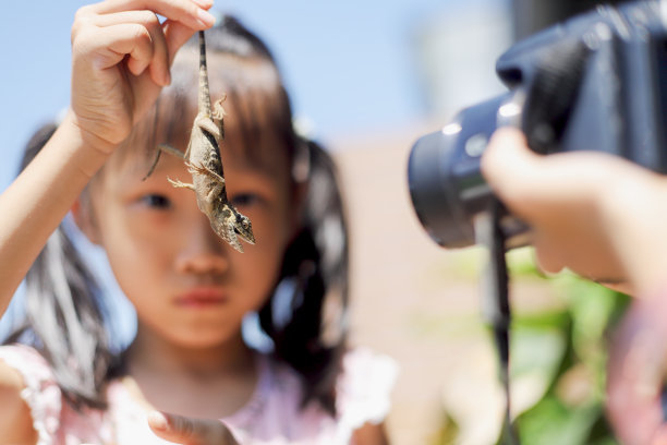 亚洲女孩和蜥蜴玩耍合影。图片下载