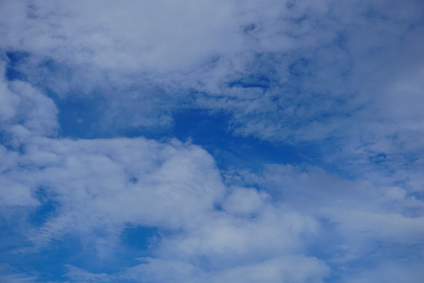 阴天的低角度视图图片下载