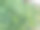 绿色植物的照片，看起来迷人图片下载