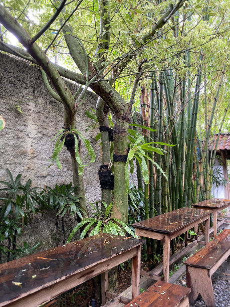 复古花园外观图片下载