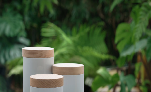 最小的讲台桌面户外模糊绿色怪物热带森林植物背景。美容美容健康天然植入式台架展示，春夏丛林天堂概念。图片下载