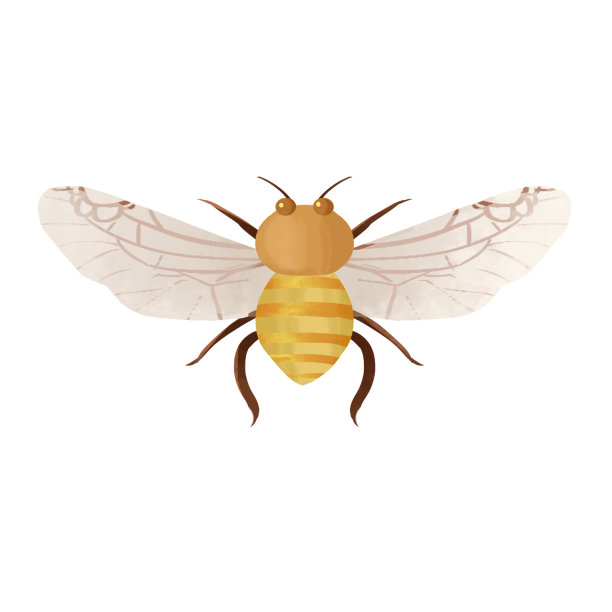 黄虫子蜜蜂水彩插图图片下载