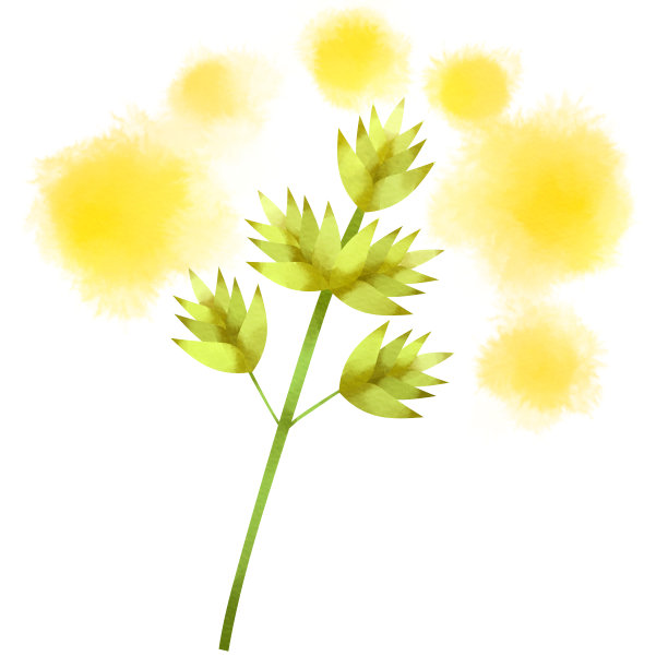 释放花粉的草本植物图片下载