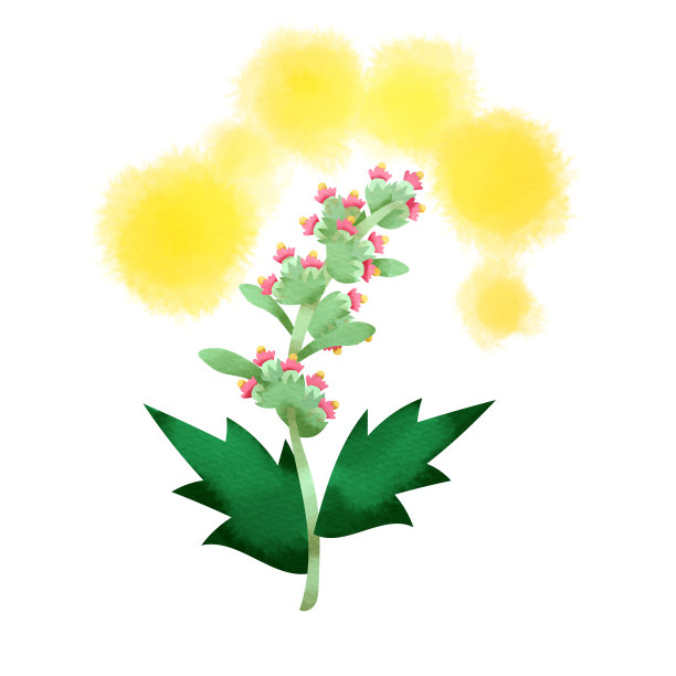 释放花粉的马克麦芽汁图片下载