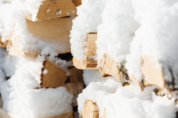 冬天的柴火树林照片图片下载