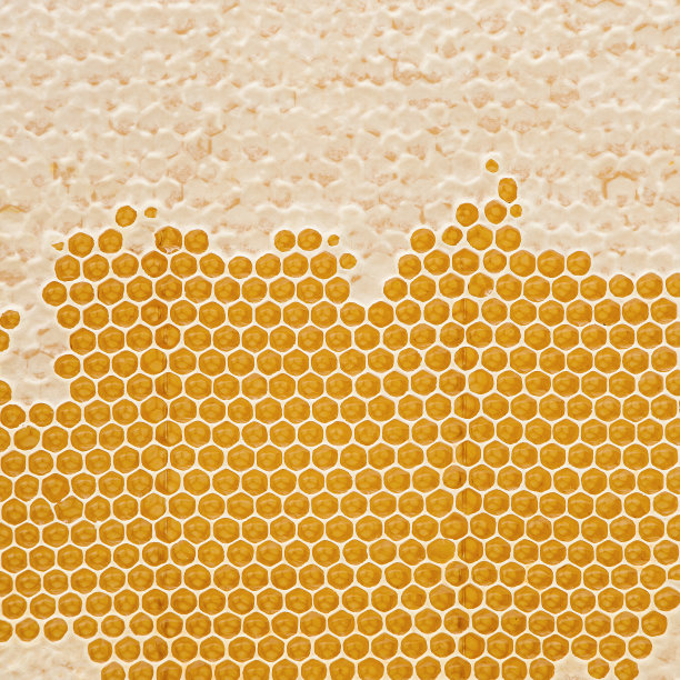 蜂巢里有金色的蜂蜜。审美观念的替代疗法或吃生的健康的甜食。蜂产品的想法。平的。自然纹理。极具创意的背景图案。图片下载