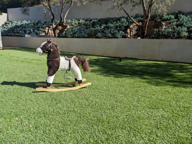 摇摆马在绿草当代图片下载