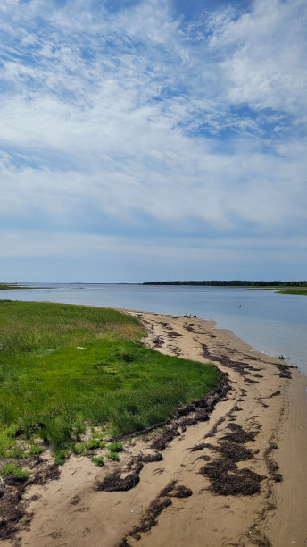 盐沼(6)图片下载
