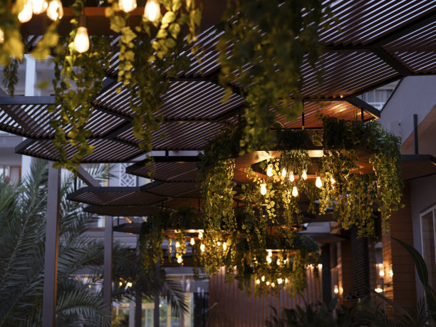 餐厅的装饰照明图片下载