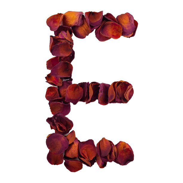字母E来自干红玫瑰花瓣，孤立在白色背景上。自然排版，英文字母。玫瑰花瓣的设计元素图片下载