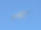 海鸥在天空图片下载