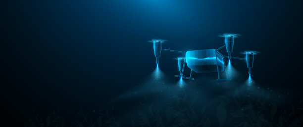 低多边形线框风格与无人机在玉米田飞行。聪明的农场。农业、技术和创新。矢量图图片下载