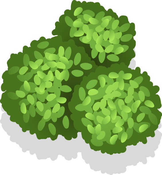 圆形灌木叶景观设计平面元素图片下载