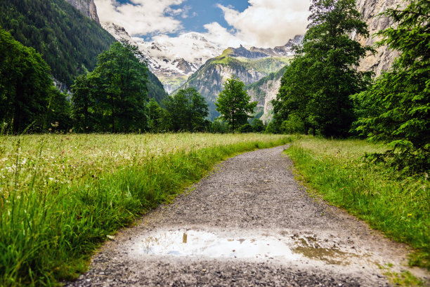 阿尔卑斯山的田野小路图片下载