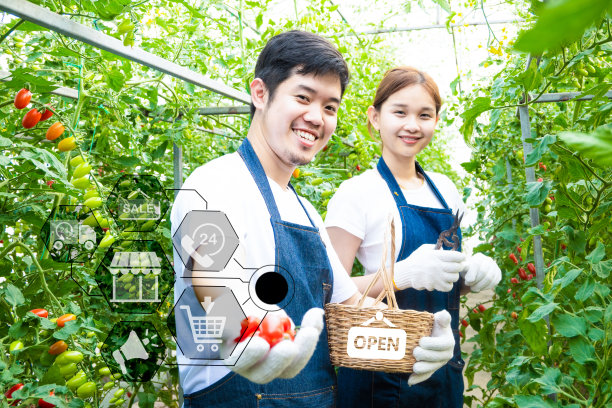 现代农业，家族企业和网上业务图片下载