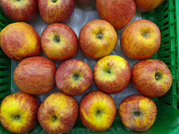 超市货架上的水果和蔬菜的特写照片。图片下载