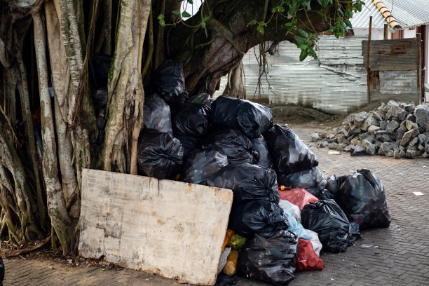 大树里有垃圾。垃圾成堆。环境污染概念。未经授权的垃圾填埋场。图片下载