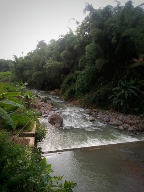 一条河图片下载