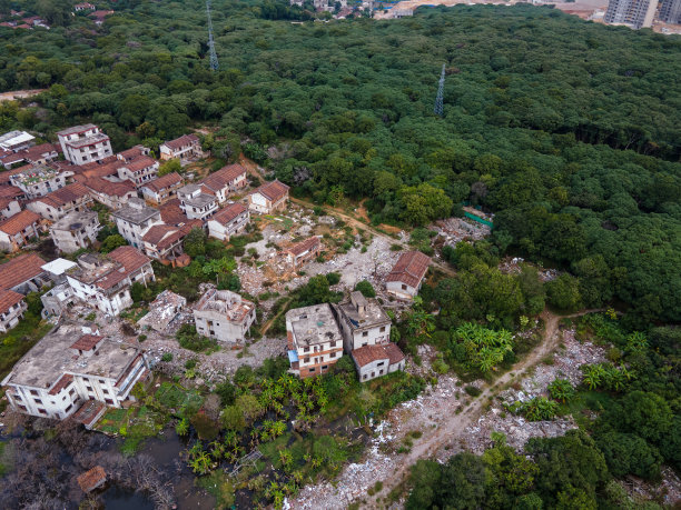 森林附近老房子的鸟瞰图图片下载